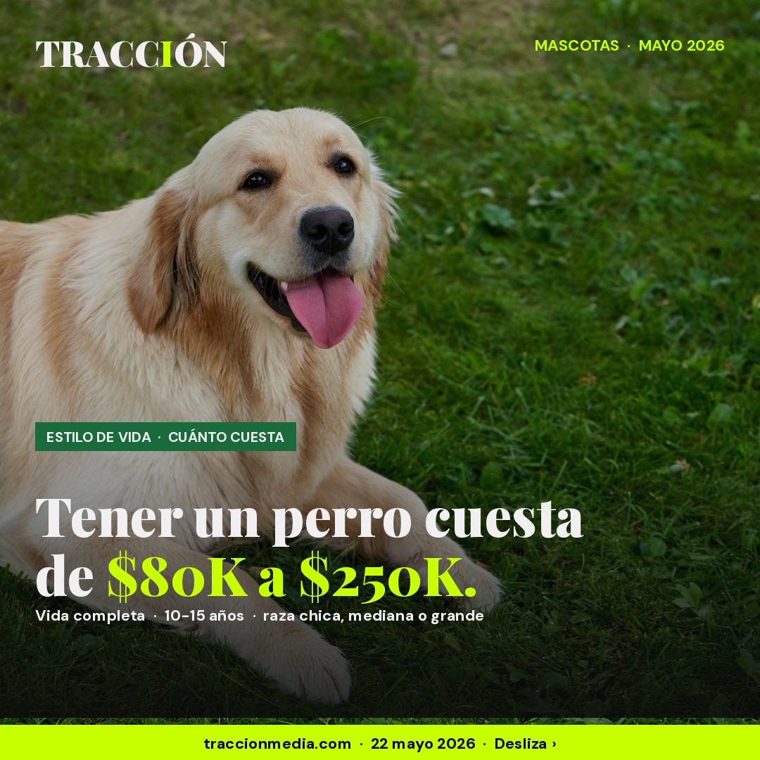 Cuánto cuesta tener un perro toda su vida en México 2026: el rango va de $80,000 a $250,000 — desglose por etapa y por tamaño