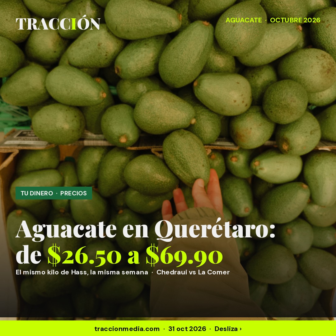 Precio del aguacate en 2026: en Querétaro el kilo cuesta $26.50 en Chedraui y $69.90 en La Comer