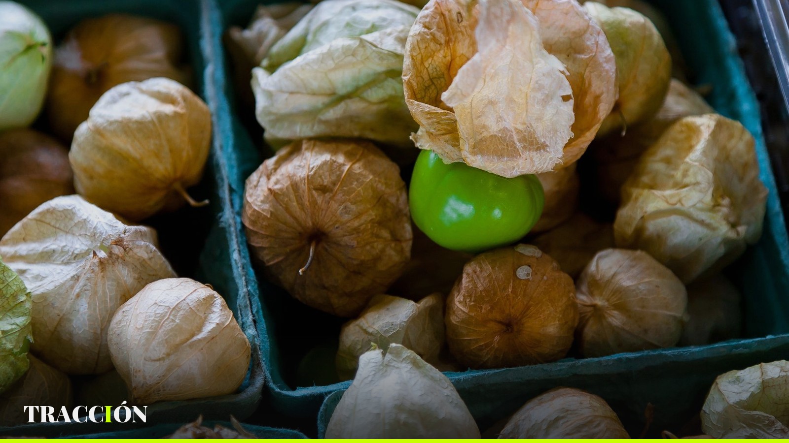 Tomate verde con cáscara en cajas de un mercado